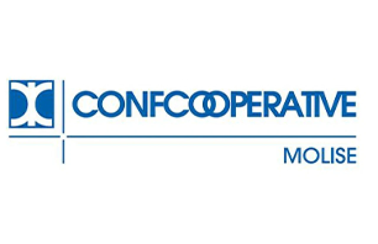 Banner Confcooperative 306 per 198 pixel